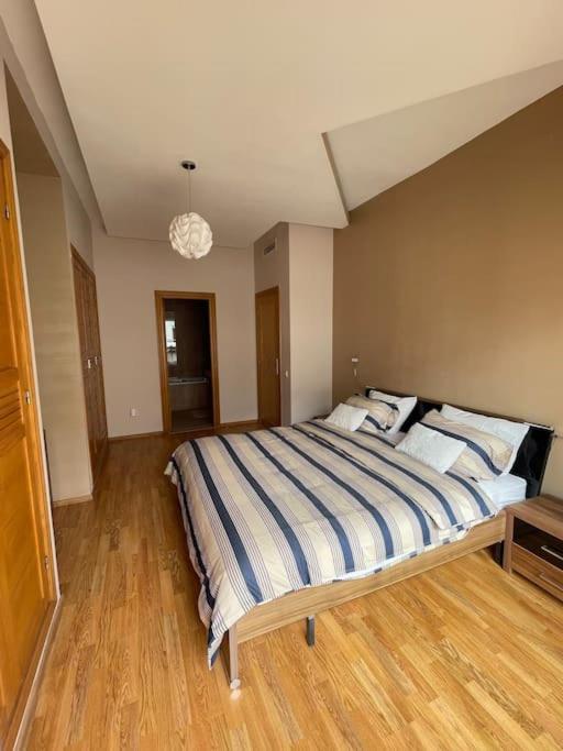Big Luxury Near Airport Apartment