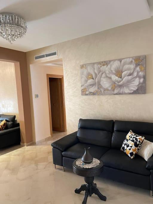 Big Luxury Near Airport Apartment